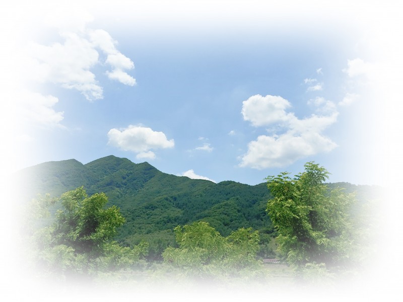 b19e95fa66c563de9f655bea1bc8c187_1530682380_03.jpg