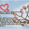 봄 볕의  따스함이 그대로 전해지는 사랑가득한 4월이었습니다.