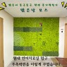맑은날 모스정원프로젝트