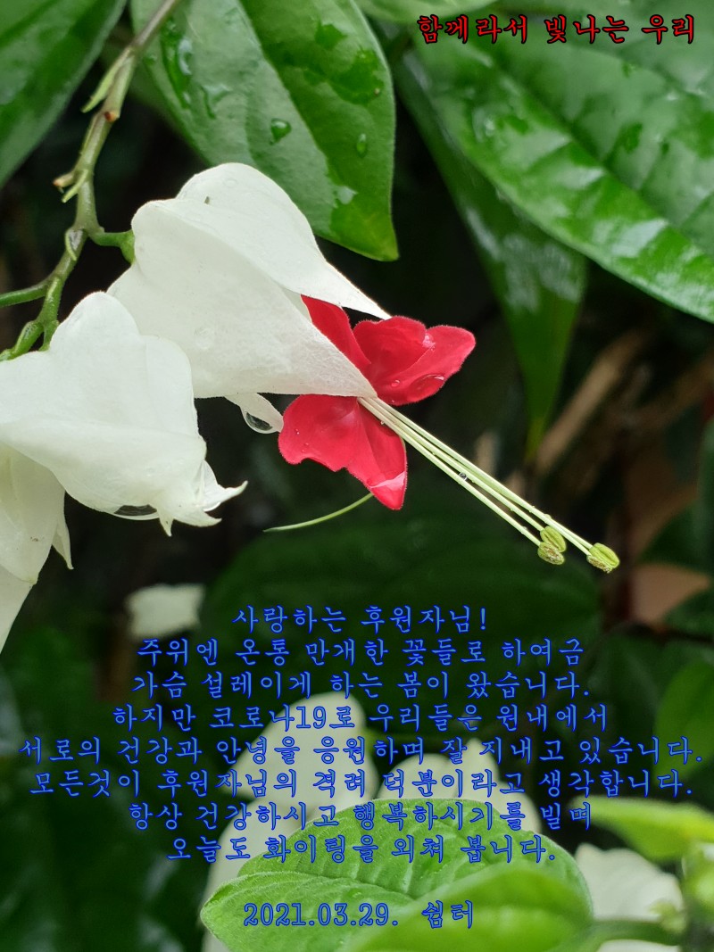 19f97472a39b4b3e3bca583b49c8427c_1616996587_35.jpg