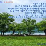 온통 주변이 푸르름으로 가득한 6월 마지막날 입니다.