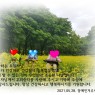 푸르른 5월~