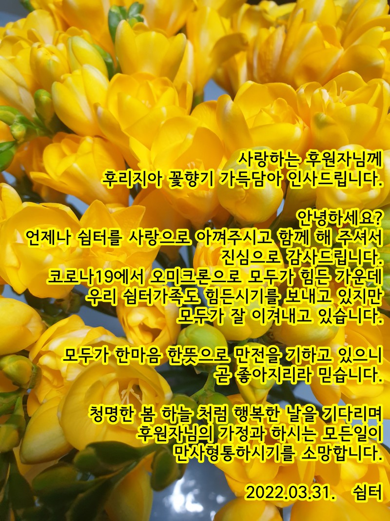 ade004e9a213c928e9ef8feec1d17492_1651216735_3.jpg