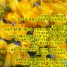 3월 감사인사드립니다.