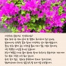 쉼터 한 켠에 핀 철쭉